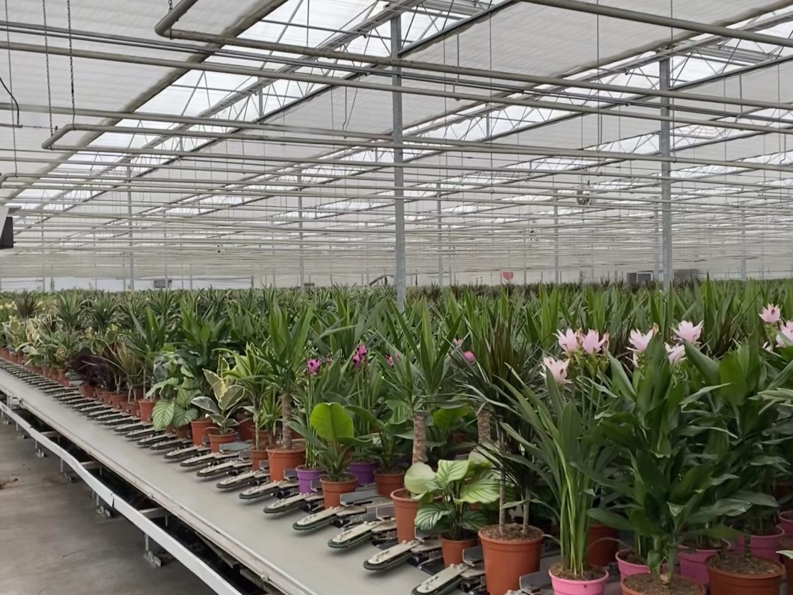 Forever Plants Group visit