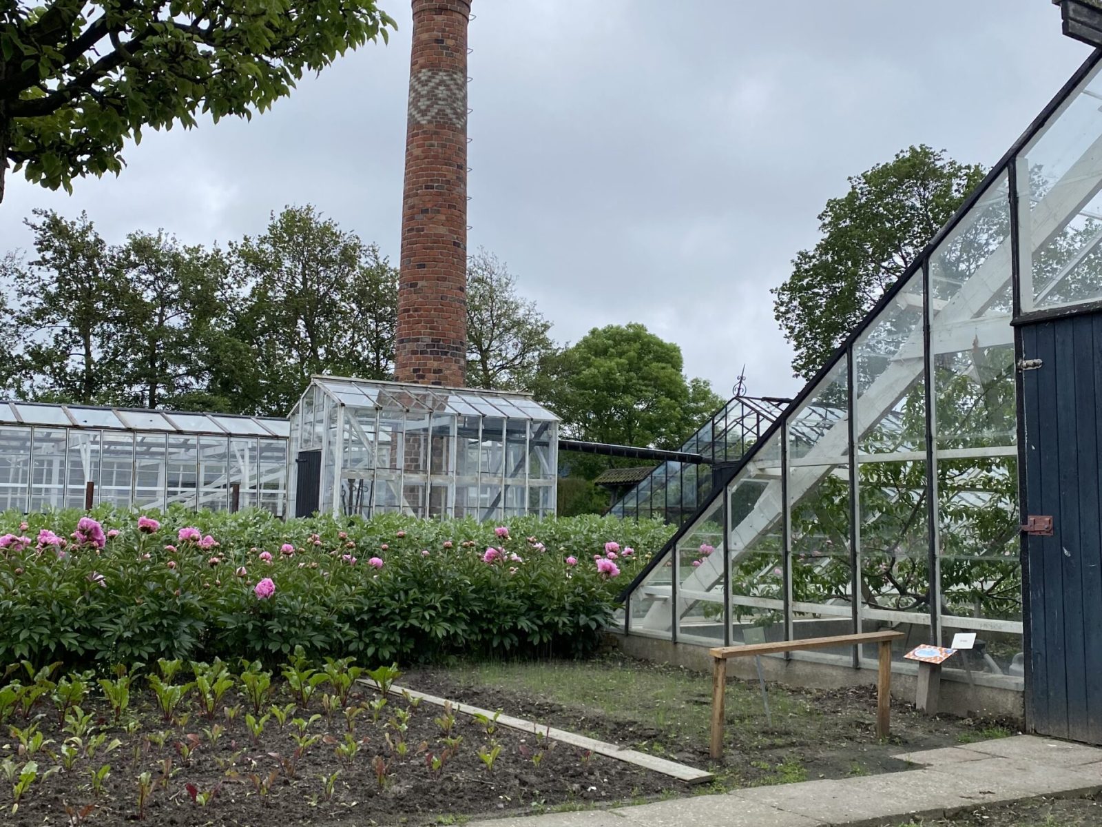 Westlands museum - history horticulture